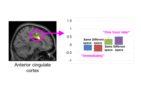 Bodily and neural mechanisms of subjective time estimation in narrative comprehension